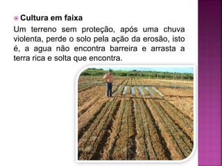  Cultura em faixa
Um terreno sem proteção, após uma chuva
violenta, perde o solo pela ação da erosão, isto
é, a agua não encontra barreira e arrasta a
terra rica e solta que encontra.
 