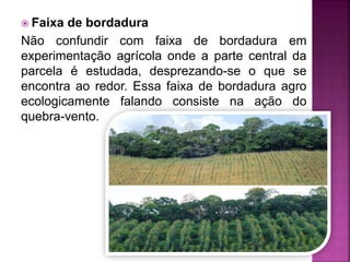  Faixa de bordadura
Não confundir com faixa de bordadura em
experimentação agrícola onde a parte central da
parcela é estudada, desprezando-se o que se
encontra ao redor. Essa faixa de bordadura agro
ecologicamente falando consiste na ação do
quebra-vento.
 