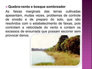  Quebra-vento e bosque sombreador
As faixas marginais das terras cultivadas
apesentam, muitas vezes, problemas de controle
de erosão e de preparo do solo, que são
resolvidos com o estabelecimento de faixas, pois
controlam a velocidade do vento e contem os
excessos de enxurrada que possam escorrer sem
provocar danos.
 