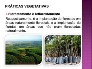  Florestamento e reflorestamento
Respectivamente, é a implantação de florestas em
áreas naturalmente florestais e a implantação de
floretas em áreas que não eram florestadas
naturalmente.
 