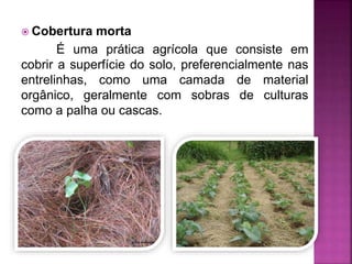  Cobertura morta
É uma prática agrícola que consiste em
cobrir a superfície do solo, preferencialmente nas
entrelinhas, como uma camada de material
orgânico, geralmente com sobras de culturas
como a palha ou cascas.
 