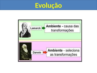 Evolução
 