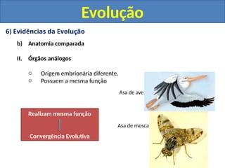 6) Evidências da Evolução
b) Anatomia comparada
II. Órgãos análogos
o Origem embrionária diferente.
o Possuem a mesma função
Evolução
Asa de mosca
Asa de ave
Realizam mesma função
Convergência Evolutiva
 