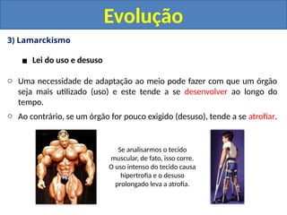 3) Lamarckismo
▪ Lei do uso e desuso
o Uma necessidade de adaptação ao meio pode fazer com que um órgão
seja mais utilizado (uso) e este tende a se desenvolver ao longo do
tempo.
o Ao contrário, se um órgão for pouco exigido (desuso), tende a se atrofiar.
Evolução
Se analisarmos o tecido
muscular, de fato, isso corre.
O uso intenso do tecido causa
hipertrofia e o desuso
prolongado leva a atrofia.
 