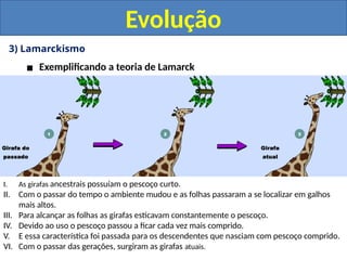 3) Lamarckismo
▪ Exemplificando a teoria de Lamarck
Evolução
I. As girafas ancestrais possuíam o pescoço curto.
II. Com o passar do tempo o ambiente mudou e as folhas passaram a se localizar em galhos
mais altos.
III. Para alcançar as folhas as girafas esticavam constantemente o pescoço.
IV. Devido ao uso o pescoço passou a ficar cada vez mais comprido.
V. E essa característica foi passada para os descendentes que nasciam com pescoço comprido.
VI. Com o passar das gerações, surgiram as girafas atuais.
 
