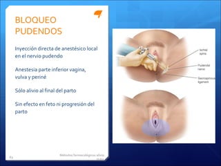BLOQUEO PUDENDOS Inyección directa de anestésico local en el nervio pudendo Anestesia parte inferior vagina, vulva y periné Sólo alivio al final del parto Sin efecto en feto ni progresión del parto Métodos farmacológicos alivio dolor 