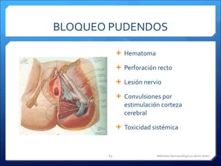 BLOQUEO PUDENDOS Hematoma Perforación recto Lesión nervio Convulsiones por estimulación corteza cerebral Toxicidad sistémica Métodos farmacológicos alivio dolor 