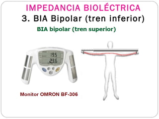 IMPEDANCIA BIOLÉCTRICA
3. BIA Bipolar (tren inferior)
 