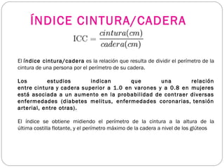 ÍNDICE CINTURA/CADERA
El índice cintura/cadera es la relación que resulta de dividir el perímetro de la
cintura de una persona por el perímetro de su cadera.
Los estudios indican que una relación
entre cintura y cadera superior a 1.0 en varones y a 0.8 en mujeres
está asociada a un aumento en la probabilidad de contraer diversas
enfermedades (diabetes melitus, enfermedades coronarias, tensión
arterial, entre otras).
El índice se obtiene midiendo el perímetro de la cintura a la altura de la
última costilla flotante, y el perímetro máximo de la cadera a nivel de los glúteos
 