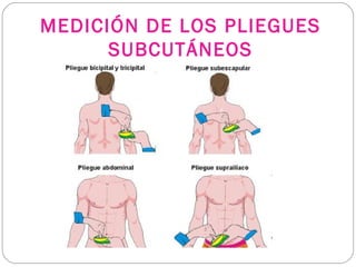 MEDICIÓN DE LOS PLIEGUES
SUBCUTÁNEOS
 