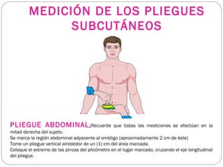MEDICIÓN DE LOS PLIEGUES
SUBCUTÁNEOS
PLIEGUE ABDOMINAL:Recuerde que todas las mediciones se efectúan en la
mitad derecha del sujeto.
Se marca la región abdominal adyacente al ombligo (aproximadamente 2 cm de éste)
Tome un pliegue vertical alrededor de un (1) cm del área marcada.
Coloque el extremo de las pinzas del plicómetro en el lugar marcado, cruzando el eje longitudinal
del pliegue.
 