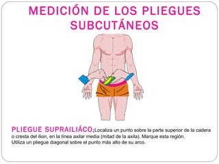 MEDICIÓN DE LOS PLIEGUES
SUBCUTÁNEOS
PLIEGUE SUPRAILIÁCO:Localiza un punto sobre la parte superior de la cadera
o cresta del ilion, en la línea axilar media (mitad de la axila). Marque esta región.
Utiliza un pliegue diagonal sobre el punto más alto de su arco.
 