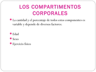 LOS COMPARTIMENTOS
CORPORALES
La cantidad y el porcentaje de todos estos componentes es
variable y depende de diversos factores:
Edad
Sexo
Ejercicio físico
 