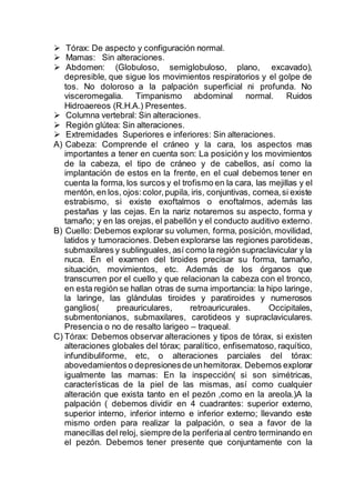 Tórax: De aspecto y configuración normal.
 Mamas: Sin alteraciones.
 Abdomen: (Globuloso, semiglobuloso, plano, excavado),
depresible, que sigue los movimientos respiratorios y el golpe de
tos. No doloroso a la palpación superficial ni profunda. No
visceromegalia. Timpanismo abdominal normal. Ruidos
Hidroaereos (R.H.A.) Presentes.
 Columna vertebral: Sin alteraciones.
 Región glútea: Sin alteraciones.
 Extremidades Superiores e inferiores: Sin alteraciones.
A) Cabeza: Comprende el cráneo y la cara, los aspectos mas
importantes a tener en cuenta son: La posición y los movimientos
de la cabeza, el tipo de cráneo y de cabellos, así como la
implantación de estos en la frente, en el cual debemos tener en
cuenta la forma, los surcos y el trofismo en la cara, las mejillas y el
mentón, en los, ojos:color,pupila, iris, conjuntivas, cornea,si existe
estrabismo, si existe exoftalmos o enoftalmos, además las
pestañas y las cejas. En la nariz notaremos su aspecto, forma y
tamaño; y en las orejas, el pabellón y el conducto auditivo externo.
B) Cuello: Debemos explorar su volumen, forma, posición, movilidad,
latidos y tumoraciones. Deben explorarse las regiones parotideas,
submaxilares y sublinguales, así como la región supraclavicular y la
nuca. En el examen del tiroides precisar su forma, tamaño,
situación, movimientos, etc. Además de los órganos que
transcurren por el cuello y que relacionan la cabeza con el tronco,
en esta región se hallan otras de suma importancia: la hipo laringe,
la laringe, las glándulas tiroides y paratiroides y numerosos
ganglios( preauriculares, retroauricurales. Occipitales,
submentonianos, submaxilares, carotideos y supraclaviculares.
Presencia o no de resalto larigeo – traqueal.
C) Tórax: Debemos observar alteraciones y tipos de tórax, si existen
alteraciones globales del tórax; paralítico, enfisematoso, raquítico,
infundibuliforme, etc, o alteraciones parciales del tórax:
abovedamientos o depresionesde unhemitorax. Debemos explorar
igualmente las mamas: En la inspección( si son simétricas,
características de la piel de las mismas, así como cualquier
alteración que exista tanto en el pezón ,como en la areola.)A la
palpación ( debemos dividir en 4 cuadrantes: superior externo,
superior interno, inferior interno e inferior externo; llevando este
mismo orden para realizar la palpación, o sea a favor de la
manecillas del reloj, siempre de la periferiaal centro terminando en
el pezón. Debemos tener presente que conjuntamente con la
 