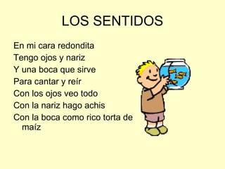 LOS SENTIDOS En mi cara redondita  Tengo ojos y nariz Y una boca que sirve Para cantar y reír Con los ojos veo todo Con la nariz hago achis Con la boca como rico torta de maíz 