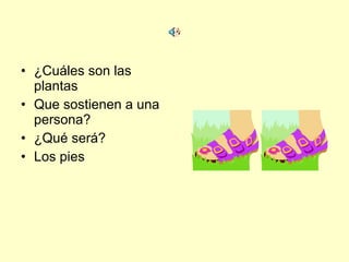 ¿Cuáles son las plantas  Que sostienen a una persona? ¿Qué será? Los pies 