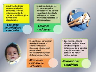 • Se activan las áreas
motoras cerebrales,
influyendo sobre el
enderezamiento del
cuerpo, el equilibrio y los
movimientos
intencionales.

Lesiones
neurológicas
cerebrales

• Se activan también los
circuitos sensorios
motores y los de las vías
eferentes de la médula,
incluyendo las zonas
medulares afectadas, las
raíces nerviosas

Lesiones
medulares

• El objetivo es aprovechar
terapéuticamente la
actividad muscular
(isotónica e isométrica)
provocada al
desencadenar el patrón
de locomoción refleja

Alteraciones
musculares o
articulares

• Este mismo estímulo
eferente medular puede
ser utilizado para el
tratamiento de la parálisis
braquial obstétrica, las
paresias del nervio
ciático, u otras.

Neuropatías
periféricas

 