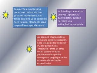 Solamente era necesario
poner una resistencia que
guiara el movimiento. Las
zonas para ello ya se conocían
hace tiempo. El lactante sano
respondía estupendamente

Incluso llego a alcanzar
una vez la postura a
cuatro patas, aunque
necesito una
estimulación sostenida

Así apareció el gateo reflejo
como una posible explicación.
En la terapia de los niños con
PCI ese patrón había
“fracasado”, entre las otras
cosas, porque en estos
pacientes no era posible
conseguir el despliegue de los
extremos distales de las
extremidades

 