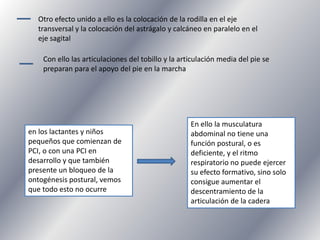 Otro efecto unido a ello es la colocación de la rodilla en el eje
transversal y la colocación del astrágalo y calcáneo en paralelo en el
eje sagital
Con ello las articulaciones del tobillo y la articulación media del pie se
preparan para el apoyo del pie en la marcha

en los lactantes y niños
pequeños que comienzan de
PCI, o con una PCI en
desarrollo y que también
presente un bloqueo de la
ontogénesis postural, vemos
que todo esto no ocurre

En ello la musculatura
abdominal no tiene una
función postural, o es
deficiente, y el ritmo
respiratorio no puede ejercer
su efecto formativo, sino solo
consigue aumentar el
descentramiento de la
articulación de la cadera

 