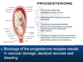  Blockage of the progesterone receptor results
in vascular damage, decidual necrosis and
bleeding
 