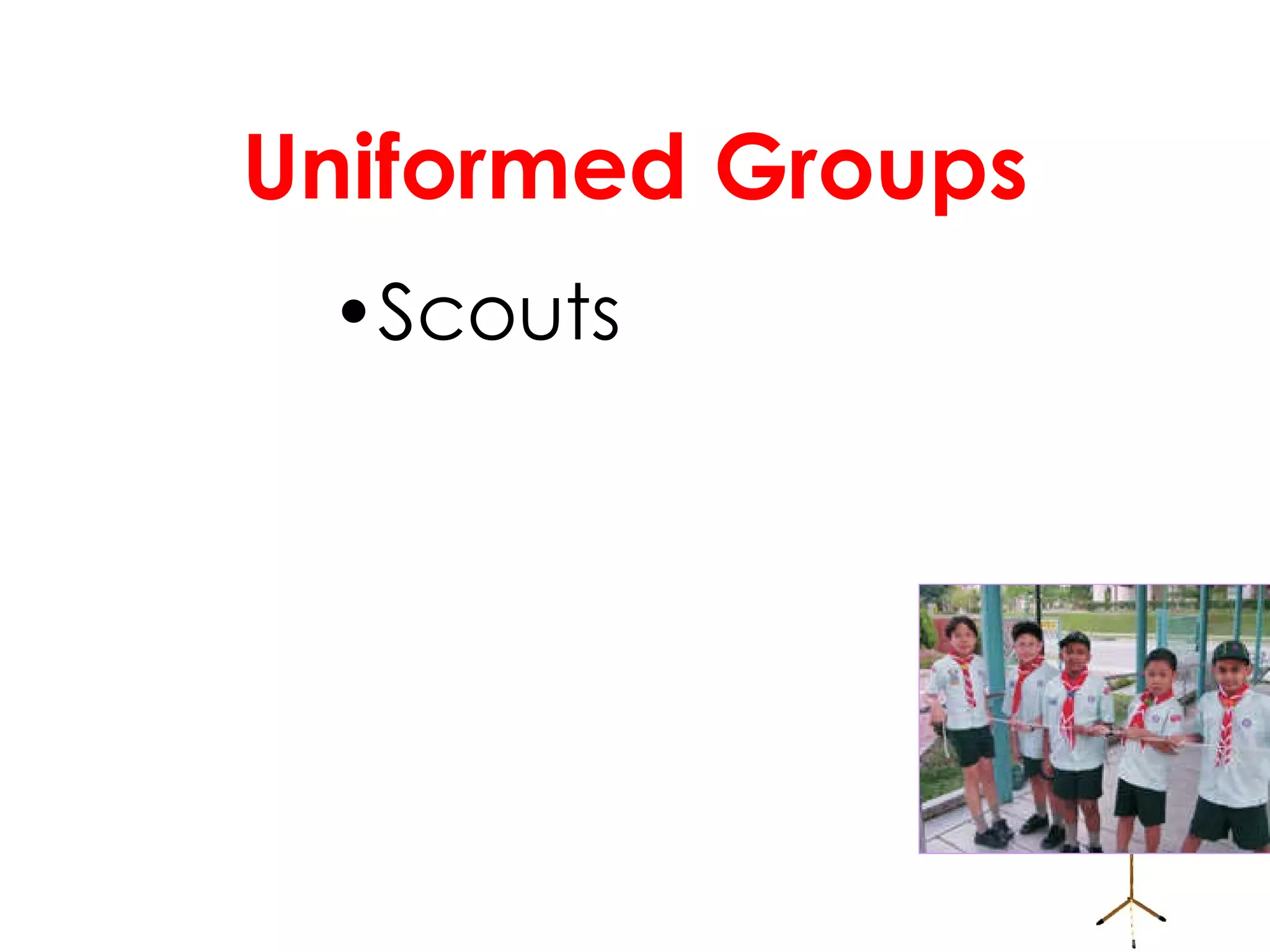Uniformed Groups Scouts 