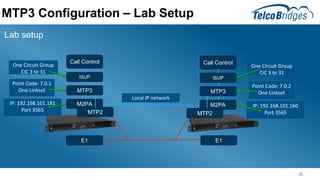 SS7 - MTP3 Technical Training from TelcoBridges | PDF