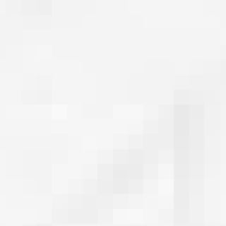 LAYING THE FOUNDATION TO BUILD A NEW MICHIGAN
 