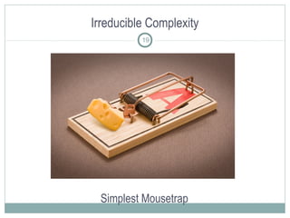 Irreducible Complexity
Simplest Mousetrap
19
 