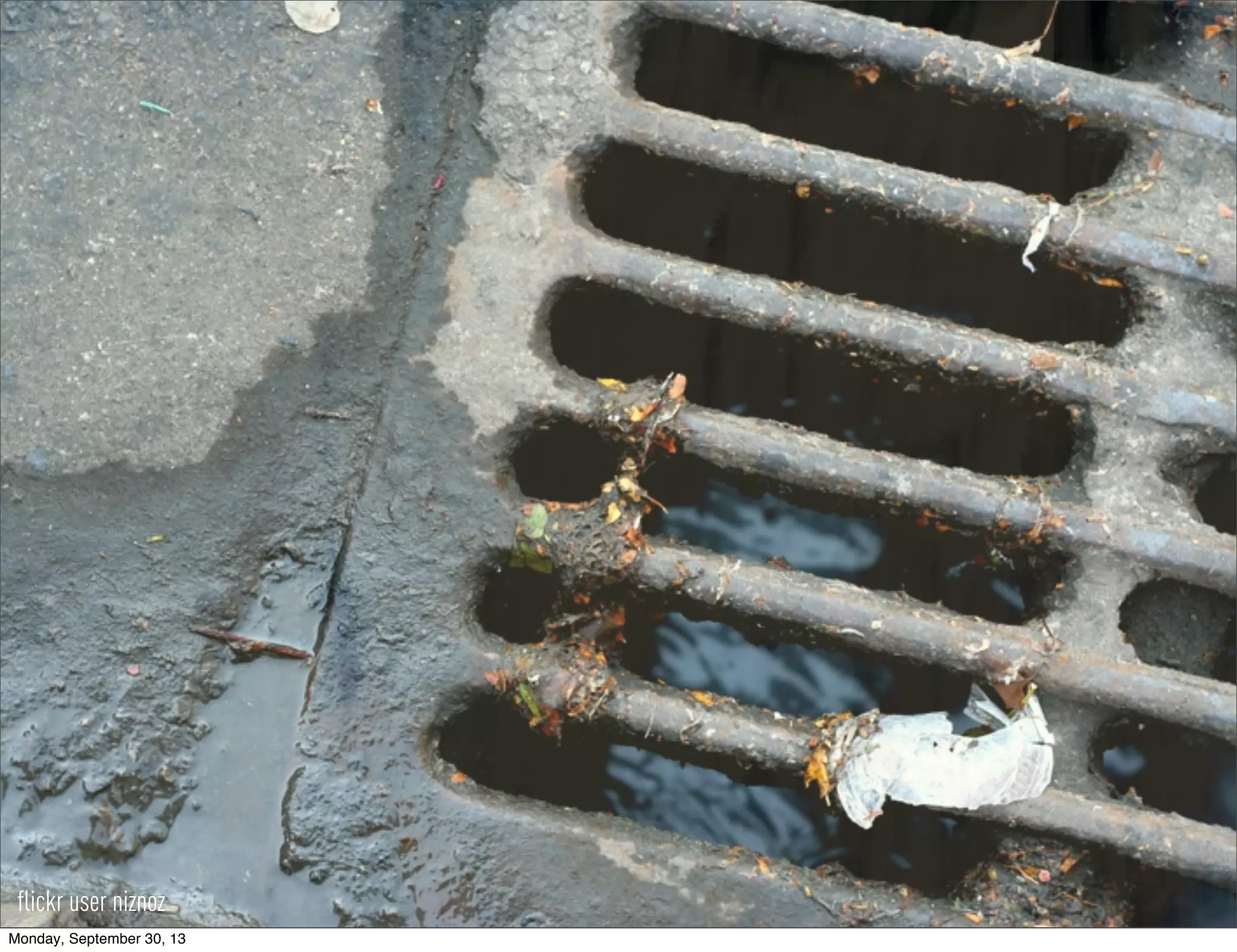 flickr user niznoz
Monday, September 30, 13
 