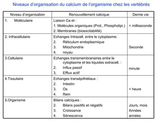 Niveaux d’organisation du calcium de l’organisme chez les vertébrés Niveau d’organisation Renouvellement calcique  Demie vie Moléculaire Liaison Ca et : 1. Molécules organiques (Prot., Phospholipi.) 2. Membranes (bioexcitabilité) < milliseconde 2. Infracellulaire Echanges Intracell. entre le cytoplasme: Réticulum endoplasmique Mitochondrie noyau  Seconde 3.Cellulaire Echanges transmembranaires entre le cytoplasme et les liquides extracell. : Influx passif Efflux actif minute 4.Tissulaire Echanges transépithéliaux : Intestin Os Rein < heure 5.Organisme Bilans calciques : Bilans positifs et négatifs Croissance Sénescence Jours, mois Années années 