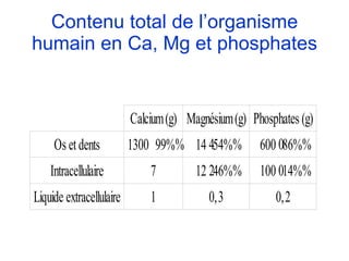 Contenu total de l’organisme humain en Ca, Mg et phosphates 