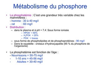Métabolisme du phosphore La phosphatémie  : C’est une grandeur très variable chez les mammifères : -  homme : 30 à 40 mg/l - rat  : 60 mg/l Distribution :   dans le plasma et à pH = 7.4: Sous forme ionisée HPO4 --  = 80% H 2 PO4 -   = 20% PO4 ---  = traces sous forme de phospholipides et de phosphoprotéines :  90 mg/l Dans le squelette : cristaux d’hydroxyapatite (85 % du phosphore de l’organisme) La phosphatémie est fonction de l’âge : -  Nourrissons = 50-75 mg/l -  1-10 ans = 45-56 mg/l -  Adultes = 30-40 mg/l 