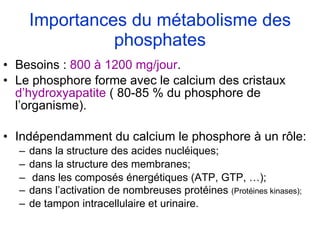 Importances du métabolisme des phosphates Besoins :  800 à 1200 mg/jour . Le phosphore forme avec le calcium des cristaux  d’hydroxyapatite  ( 80-85 % du phosphore de l’organisme). Indépendamment du calcium le phosphore à un rôle: dans la structure des acides nucléiques; dans la structure des membranes; dans les composés énergétiques (ATP, GTP, …); dans l’activation de nombreuses protéines  (Protéines kinases); de tampon intracellulaire et urinaire. 