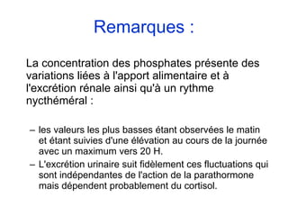 Remarques : La concentration des phosphates présente des variations liées à l'apport alimentaire et à l'excrétion rénale ainsi qu'à un rythme nycthéméral : les valeurs les plus basses étant observées le matin et étant suivies d'une élévation au cours de la journée avec un maximum vers 20 H. L'excrétion urinaire suit fidèlement ces fluctuations qui sont indépendantes de l'action de la parathormone mais dépendent probablement du cortisol. 