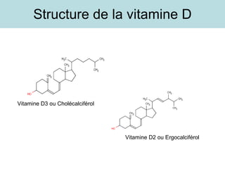 Structure de la vitamine D Vitamine D2 ou Ergocalciférol Vitamine D3 ou Cholécalciférol 