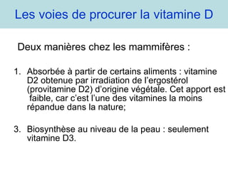 Les voies de procurer la vitamine D Deux manières chez les mammifères : Absorbée à partir de certains aliments : vitamine D2 obtenue par irradiation de l’ergostérol (provitamine D2) d’origine végétale. Cet apport est  faible, car c’est l’une des vitamines la moins répandue dans la nature; Biosynthèse au niveau de la peau : seulement vitamine D3. 