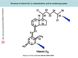 Copyright ©2004 The American Society for Nutrition DeLuca, H. F Am J Clin Nutr 2004;80:1689S-1696S Structure of vitamin D3, or cholecalciferol, and its numbering system 