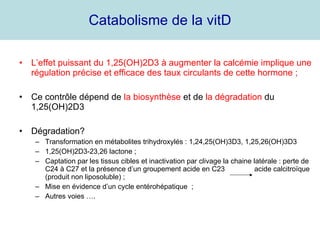 Catabolisme de la vitD L’effet puissant du 1,25(OH)2D3 à augmenter la calcémie implique une régulation précise et efficace des taux circulants de cette hormone ; Ce contrôle dépend de  la biosynthèse  et de  la dégradation  du 1,25(OH)2D3 Dégradation? Transformation en métabolites trihydroxylés : 1,24,25(OH)3D3, 1,25,26(OH)3D3  1,25(OH)2D3-23,26 lactone ; Captation par les tissus cibles et inactivation par clivage la chaine latérale : perte de C24 à C27 et la présence d’un groupement acide en C23  acide calcitroïque (produit non liposoluble) ; Mise en évidence d’un cycle entérohépatique  ; Autres voies …. 