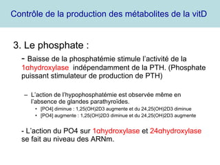 Contrôle de la production des métabolites de la vitD  3. Le phosphate : -  Baisse de la phosphatémie stimule l’activité de la  1 α hydroxylase  indépendamment de la PTH. (Phosphate puissant stimulateur de production de PTH) L’action de l’hypophosphatémie est observée même en l’absence de glandes parathyroïdes. [PO4] diminue : 1,25(OH)2D3 augmente et du 24,25(OH)2D3 diminue  [PO4] augmente : 1,25(OH)2D3 diminue et du 24,25(OH)2D3 augmente - L’action du PO4 sur  1 α hydroxylase  et  24 α hydroxylase  se fait au niveau des ARNm. 
