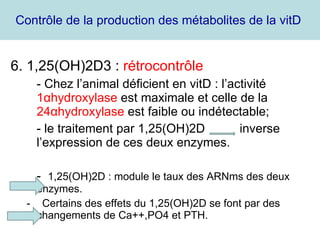 Contrôle de la production des métabolites de la vitD  6. 1,25(OH)2D3 :  rétrocontrôle - Chez l’animal déficient en vitD : l’activité  1 α hydroxylase  est maximale et celle de la  24 α hydroxylase  est faible ou indétectable; - le traitement par 1,25(OH)2D  inverse l’expression de ces deux enzymes. -  1,25(OH)2D : module le taux des ARNms des deux enzymes. -  Certains des effets du 1,25(OH)2D se font par des changements de Ca++,PO4 et PTH. 