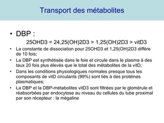 Transport des métabolites DBP :  25OHD3 = 24,25(OH)2D3 > 1,25(OH)2D3 > vitD3 La constante de dissociation pour 25OHD3 et 1,25(OH)2D3 diffère de 10 fois; La DBP est synthétisée dans le foie et circule dans le plasma à des taux 20 fois plus élevés que le total des métabolites de la vitD; Dans les conditions physiologiques normales presque tous les composants de vitD circulants (99%) sont liés à des protéines plasmatiques; La DBP et la DBP-métabolites vitD3 sont filtrées par le glomérule et réabsorbées par endocytose au niveau du cellules du tube proximal par son récepteur : la mégaline 