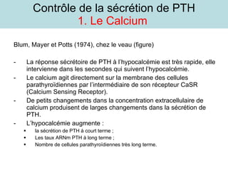 Contrôle de la sécrétion de PTH 1. Le Calcium  Blum, Mayer et Potts (1974), chez le veau (figure) La réponse sécrétoire de PTH à l’hypocalcémie est très rapide, elle intervienne dans les secondes qui suivent l’hypocalcémie. Le calcium agit directement sur la membrane des cellules parathyroïdiennes par l’intermédiaire de son récepteur CaSR (Calcium Sensing Receptor). De petits changements dans la concentration extracellulaire de calcium produisent de larges changements dans la sécrétion de PTH. L’hypocalcémie augmente : la sécrétion de PTH à court terme ;  Les taux ARNm PTH à long terme ; Nombre de cellules parathyroïdiennes très long terme. 