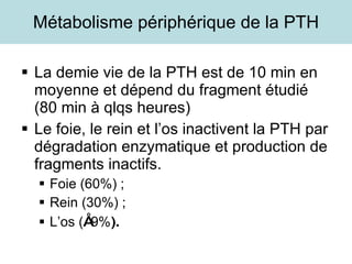Métabolisme périphérique de la PTH La demie vie de la PTH est de 10 min en moyenne et dépend du fragment étudié (80 min à qlqs heures) Le foie, le rein et l’os inactivent la PTH par dégradation enzymatique et production de fragments inactifs. Foie (60%) ; Rein (30%) ; L’os ( ≈ 9% ). 