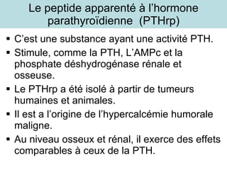 Le peptide apparenté à l’hormone parathyroïdienne  (PTHrp) C’est une substance ayant une activité PTH. Stimule, comme la PTH, L’AMPc et la phosphate déshydrogénase rénale et osseuse. Le PTHrp a été isolé à partir de tumeurs humaines et animales. Il est a l’origine de l’hypercalcémie humorale maligne. Au niveau osseux et rénal, il exerce des effets comparables à ceux de la PTH.  