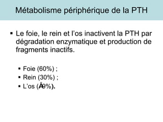 Métabolisme périphérique de la PTH Le foie, le rein et l’os inactivent la PTH par dégradation enzymatique et production de fragments inactifs. Foie (60%) ; Rein (30%) ; L’os ( ≈ 9% ). 