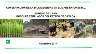 CONSERVACIÓN DE LA BIODIVERSIDAD EN EL MANEJO FORESTAL.
ESTUDIO DE CASO:
BOSQUES TEMPLADOS DEL ESTADO DE OAXACA.
Noviembre 2017
 