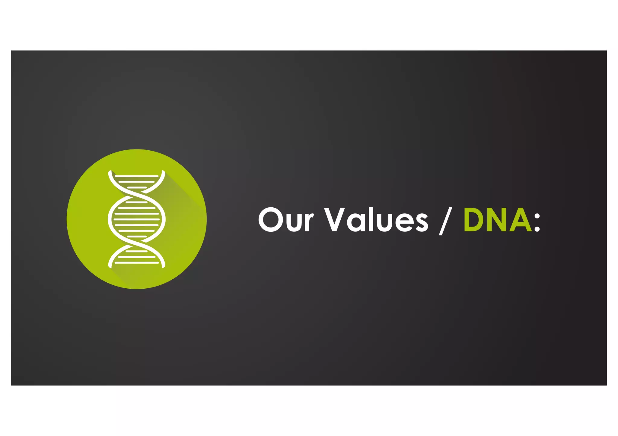 Our Values / DNA:
 