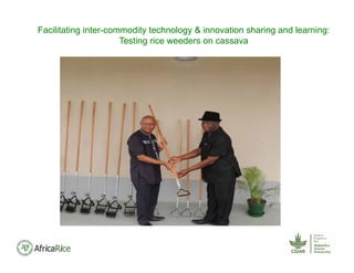 Facilitating inter-commodity technology & innovation sharing and learning:
Testing rice weeders on cassava
 