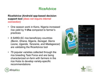 RiceAdvice
RiceAdvice (Android app-based decision
support tool (does not require internet
connection)
• One season work in Kano, Nigeria increased
rice yield by 1 t/ha compared to farmer’s
practices
• 8 SARD-SC rice beneficiary countries
(Benin, Ghana, Nigeria, Senegal, Sierra
Leone, Uganda, Tanzania, and Madagascar)
are validating the RiceAdvice tool
• 79 popular varieties collected through the
rice breeding Task Force and are being
characterized on-farm with farmers in the
rice Hubs to develop variety-specific
recommendations
 