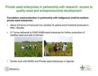 Foundation seed production in partnership with indigenous small-to-medium
private seed enterprises
• About 3.6 tonne of improved rice varieties (5 upland and 8 lowland) produced in
Mbe - Bouake
• 2.7 tonne delivered to FASO KABA seed enterprise for further production of
certified seed and sale to farmers
• Similar work with NARO and Private seed enterprises in Uganda
Private seed enterprises in partnership with research: access to
quality seed and entrepreneurship development
 